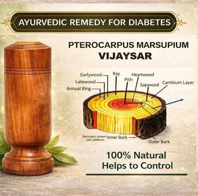 Ayurvedic Vijaysar Wood Glass – Natural Sugar Balance Tumbler 🩺