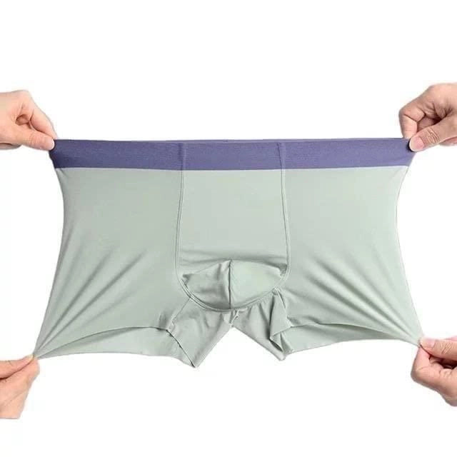 Men's Stretchable Ice Silk Underwear – Buy 1 Get 2 Free