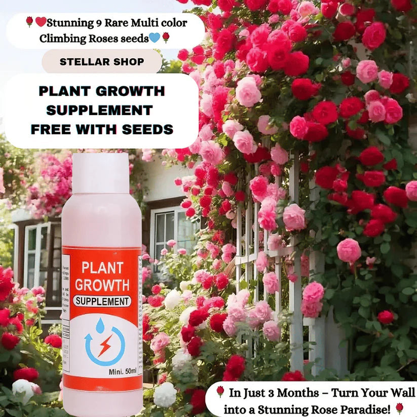 🌹 Elegant Climbing Rose Flower Seeds Beautiful Blooming Garden Roses