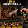 Termite Killer Spray 150ML Pack of 2