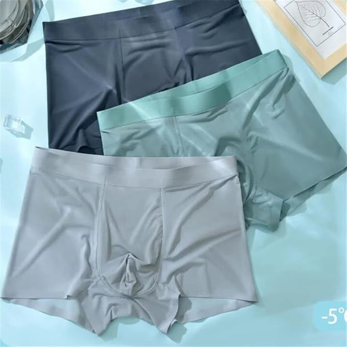 Men's Stretchable Ice Silk Underwear – Buy 1 Get 2 Free